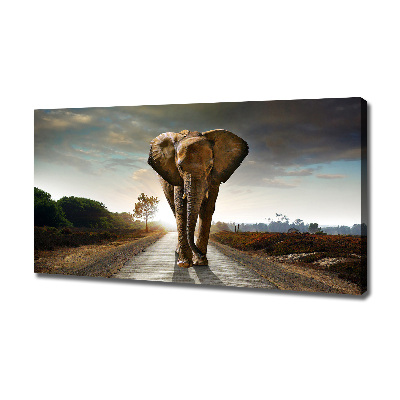 Foto op canvas Lopende olifant