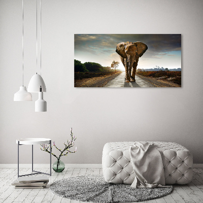Foto op canvas Lopende olifant