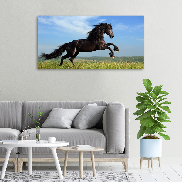 Canvas foto Zwart paard in de wei