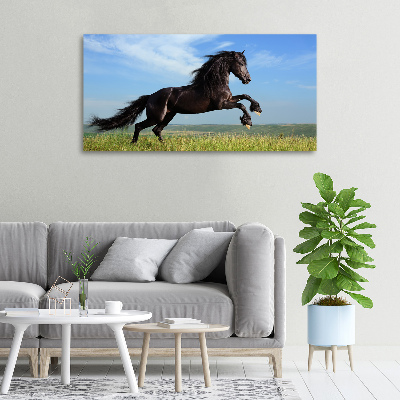 Canvas foto Zwart paard in de wei