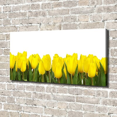 Foto canvas Gele tulpen