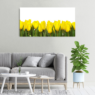 Foto canvas Gele tulpen
