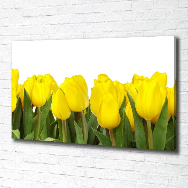 Foto canvas Gele tulpen