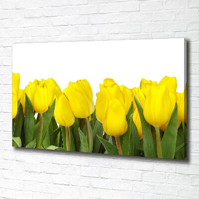 Foto canvas Gele tulpen