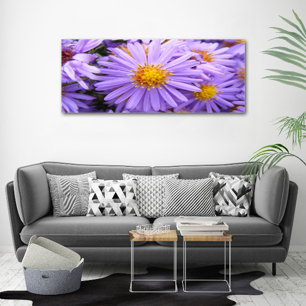 Foto op canvas Asters