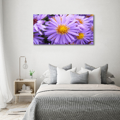 Foto op canvas Asters
