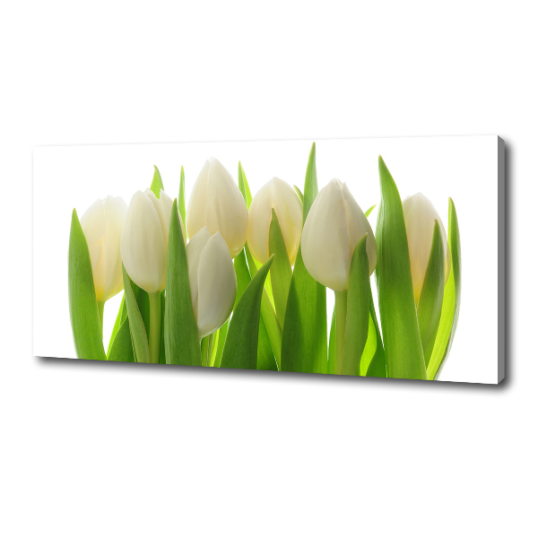 Canvas foto Tulpen