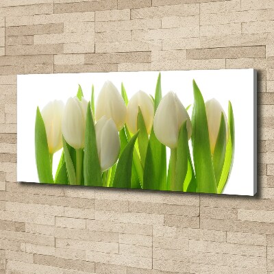 Canvas foto Tulpen