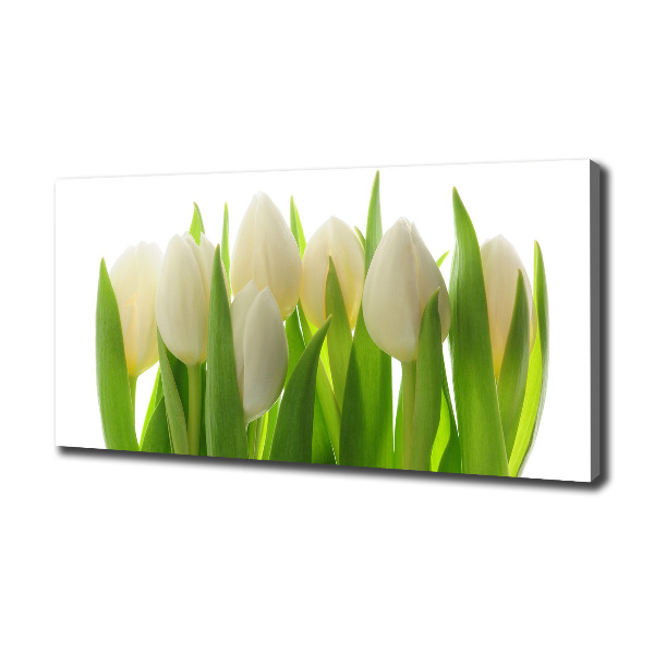 Canvas foto Tulpen