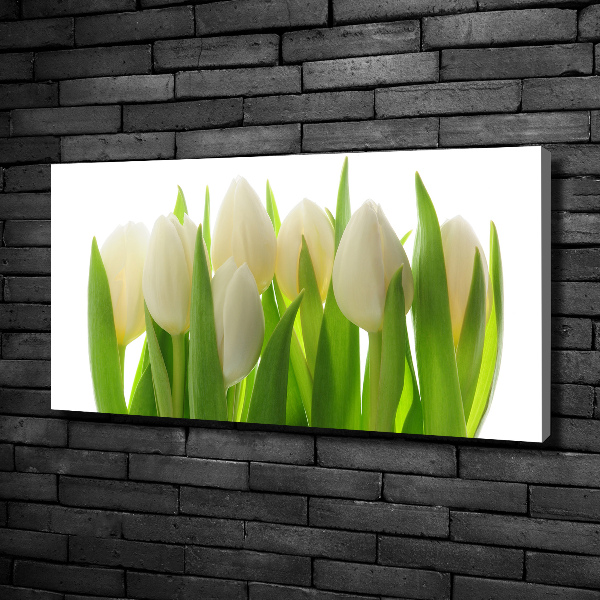 Canvas foto Tulpen