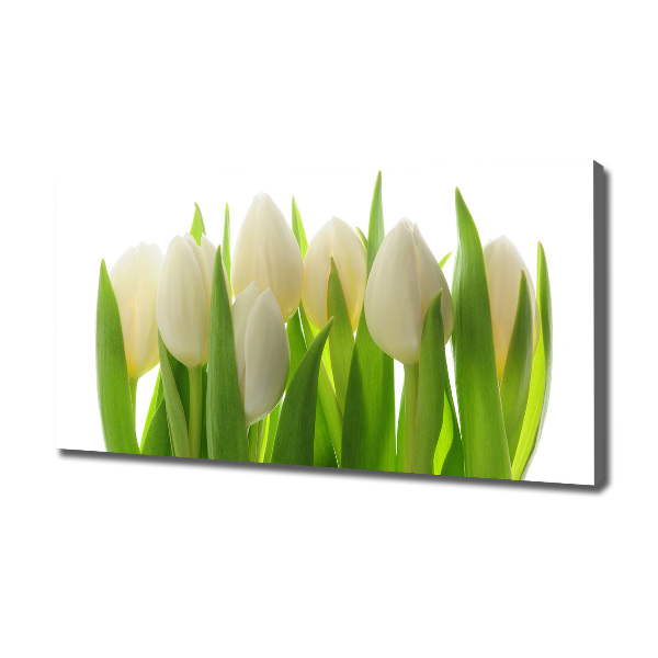 Canvas foto Tulpen