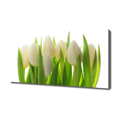 Canvas foto Tulpen