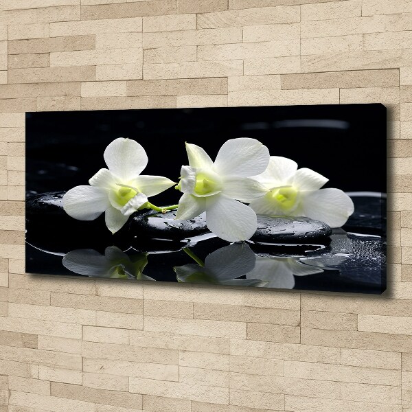 Schilderij op canvas Orchidee
