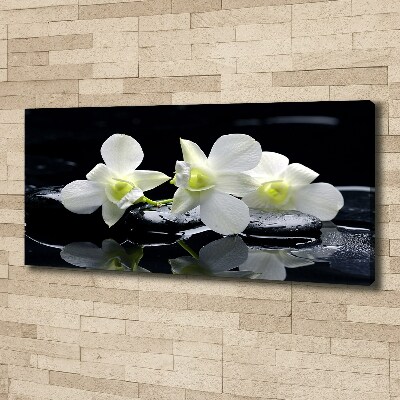 Schilderij op canvas Orchidee