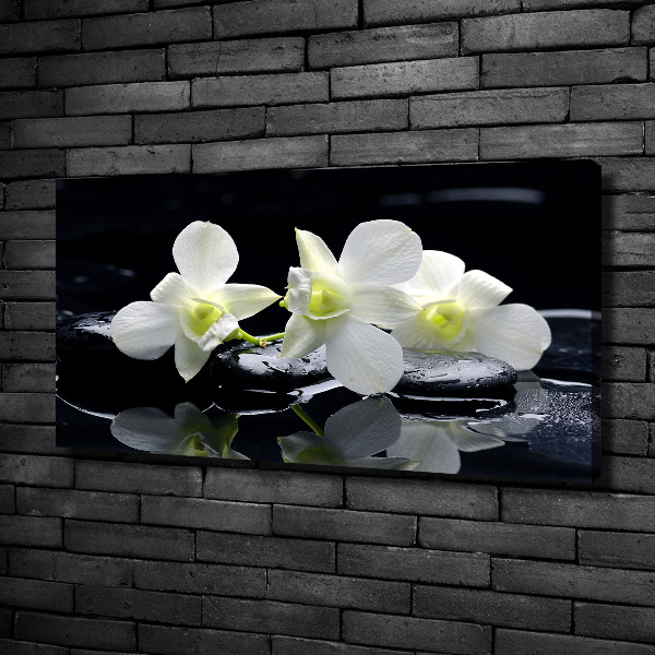 Schilderij op canvas Orchidee