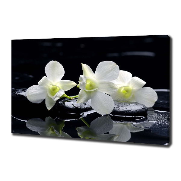 Schilderij op canvas Orchidee