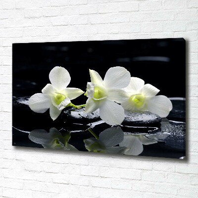 Schilderij op canvas Orchidee