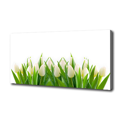 Foto canvas Witte tulpen