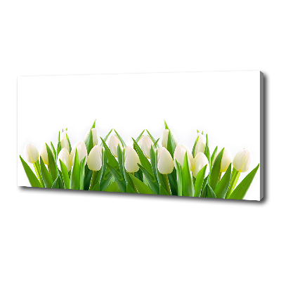 Foto canvas Witte tulpen