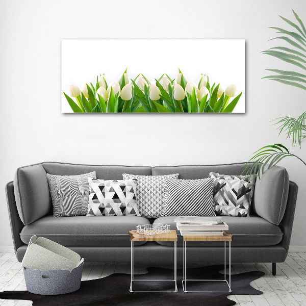 Foto canvas Witte tulpen