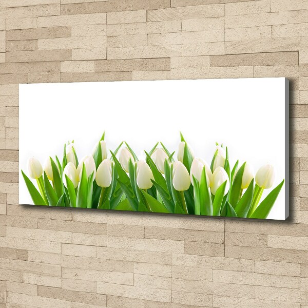 Foto canvas Witte tulpen