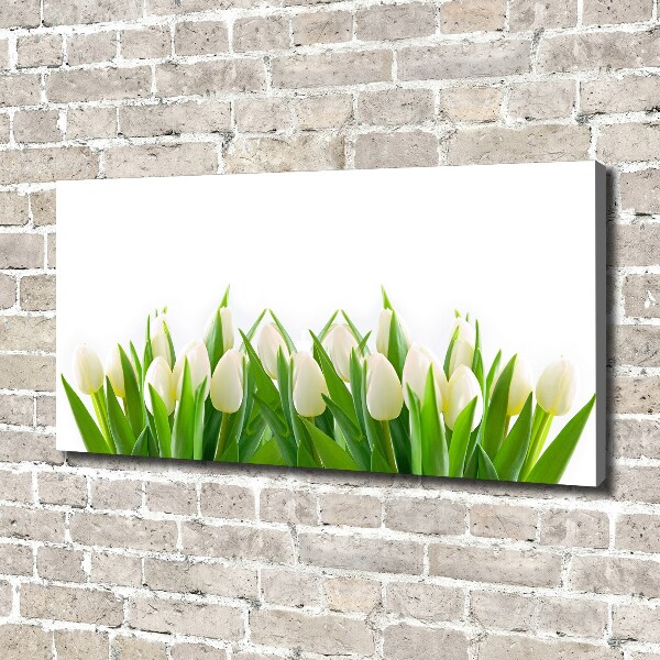 Foto canvas Witte tulpen