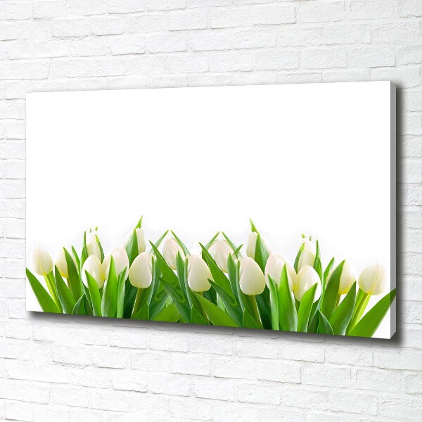 Foto canvas Witte tulpen