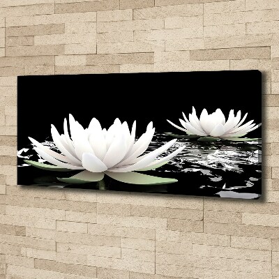 Foto op canvas Waterlelies