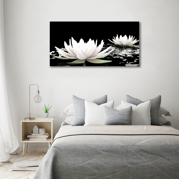 Foto op canvas Waterlelies