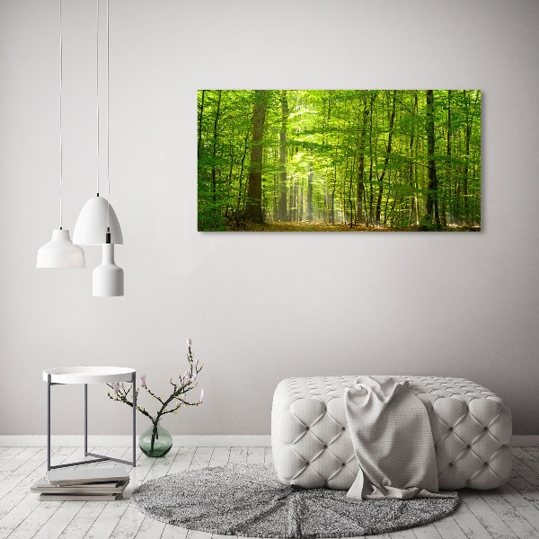 Canvas foto Loofbos