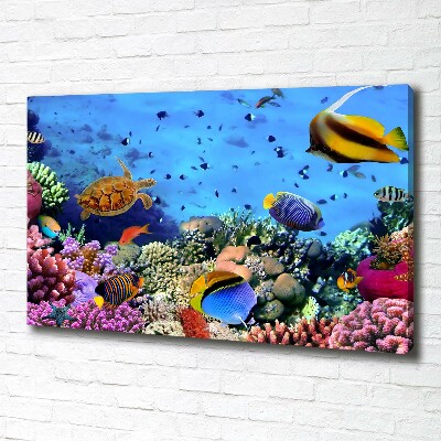Foto canvas Koraalrif