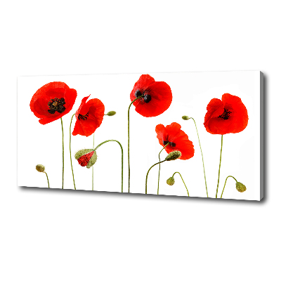 Foto canvas Klaprozen