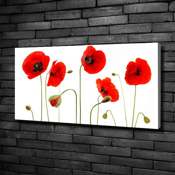 Foto canvas Klaprozen