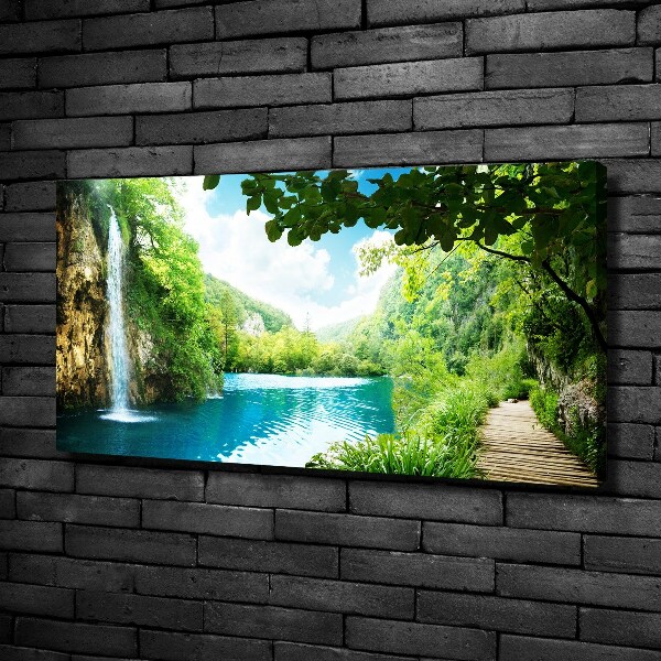 Foto canvas Waterval in het bos