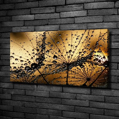 Schilderij op canvas Paardenbloemzaden