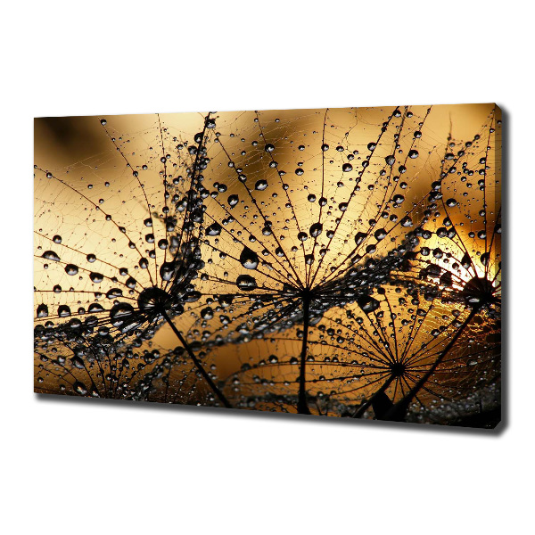 Schilderij op canvas Paardenbloemzaden