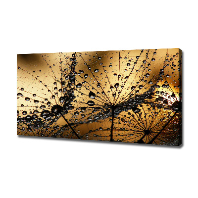 Schilderij op canvas Paardenbloemzaden