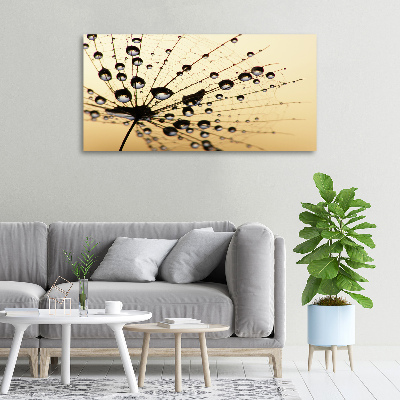 Foto canvas Paardenbloemzaad