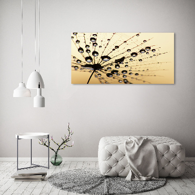 Foto canvas Paardenbloemzaad