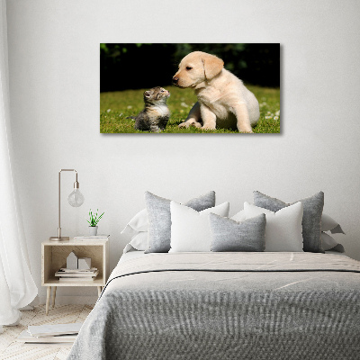 Canvas schilderij Hond en kat in de wei