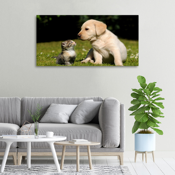 Canvas schilderij Hond en kat in de wei