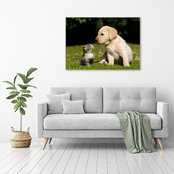 Canvas schilderij Hond en kat in de wei