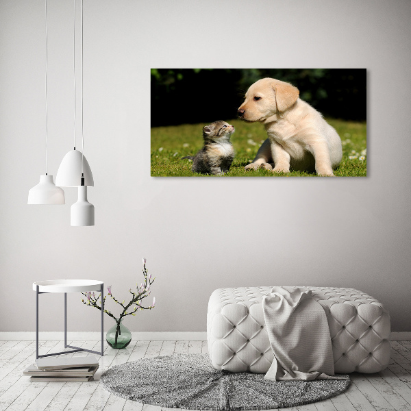 Canvas schilderij Hond en kat in de wei
