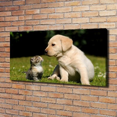 Canvas schilderij Hond en kat in de wei