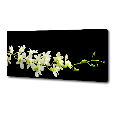 Canvas foto Orchidee