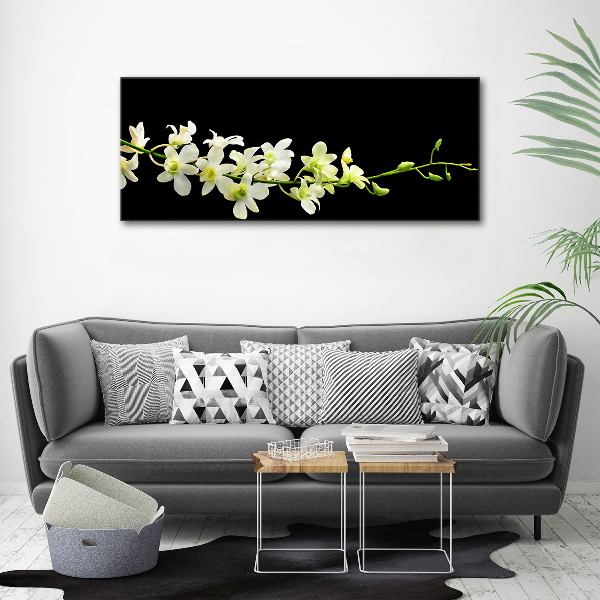 Canvas foto Orchidee