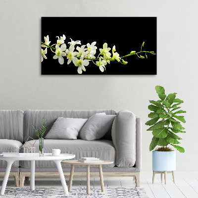 Canvas foto Orchidee