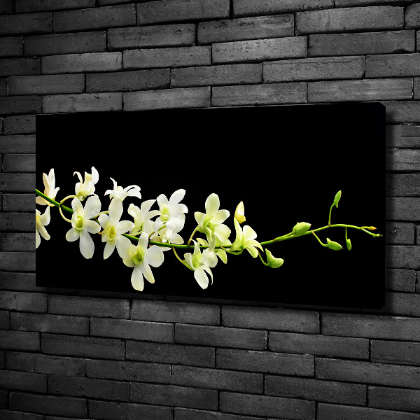 Canvas foto Orchidee
