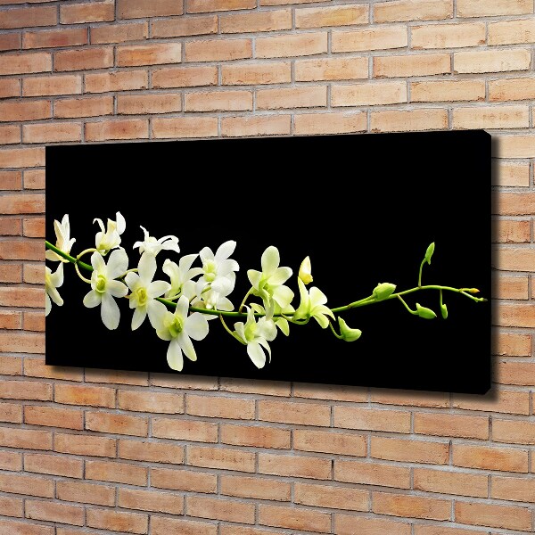 Canvas foto Orchidee