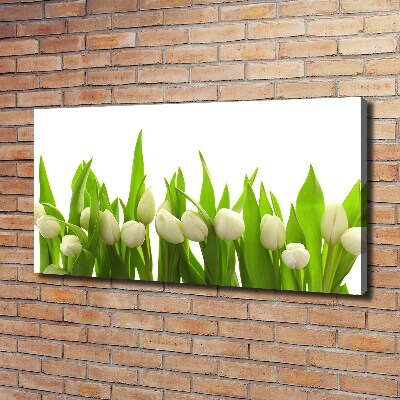 Canvas schilderij Witte tulpen